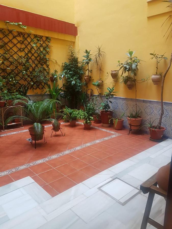 Centrico Y Luminoso Con 2 Dormitorios. A/c + Wifi * Seville